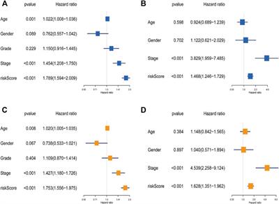 A Novel Inflammatory Response–Related Gene Signature Improves High-Risk Survival Prediction in Patients With Head and Neck Squamous Cell Carcinoma